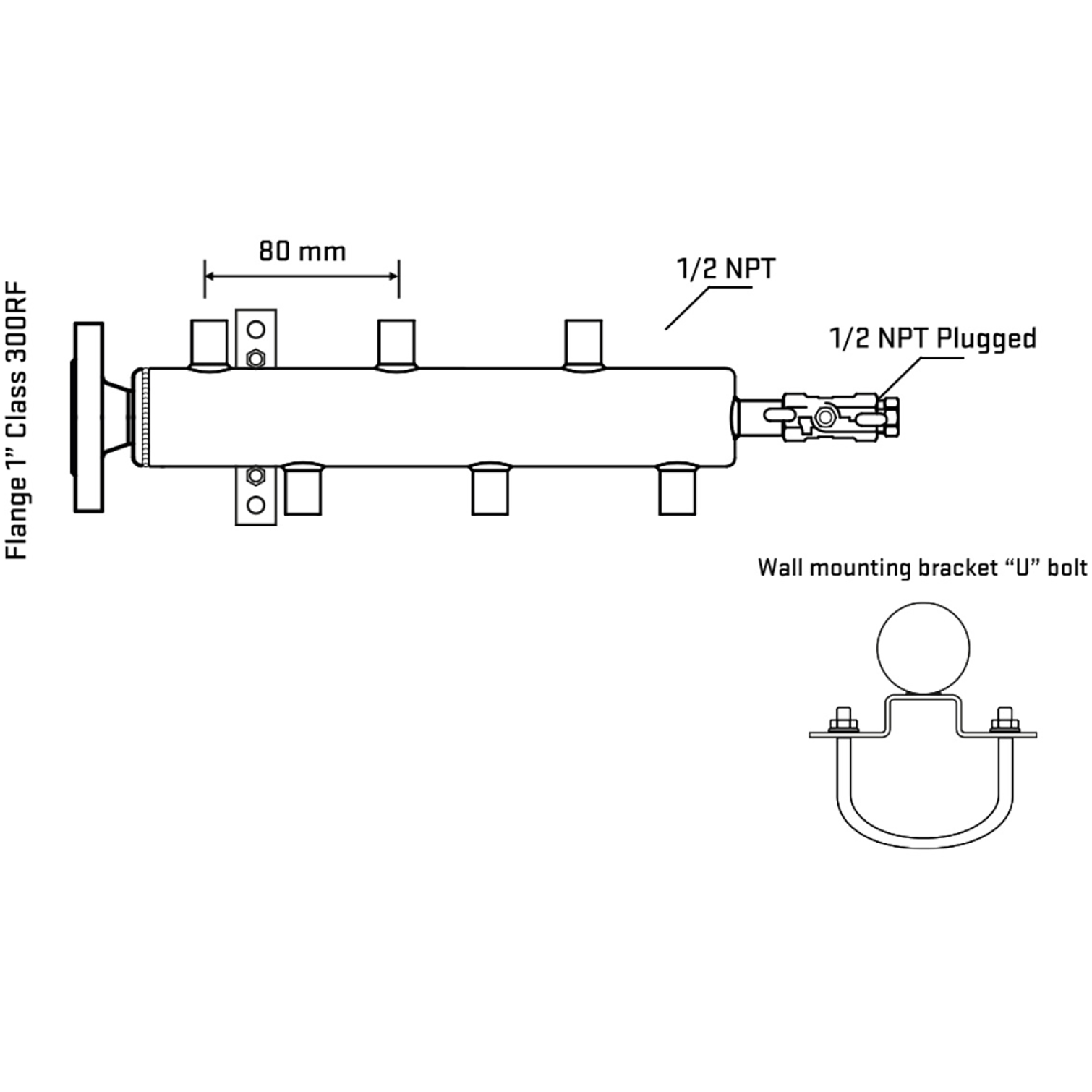 M5F1A060211 Manifolds Stainless Steel Double Sided