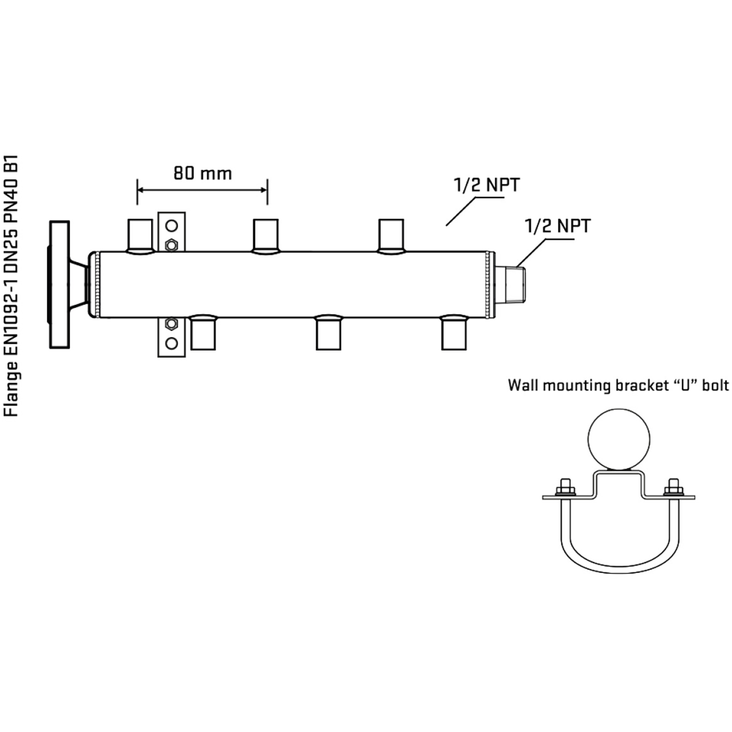 M5F1A060331 Manifolds Stainless Steel Double Sided